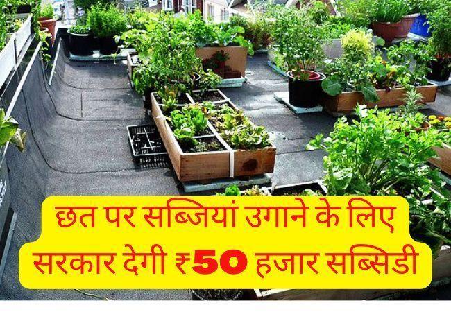 Roof top gardening subsidy