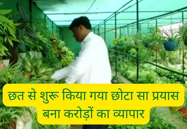 Terrace gardening in hindi